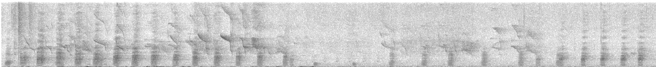 Квак широкодзьобий - ML619030052