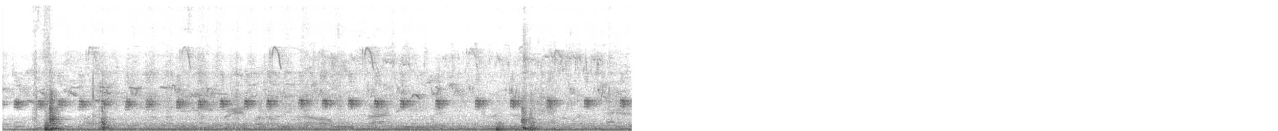 chřástal vodní - ML619030107