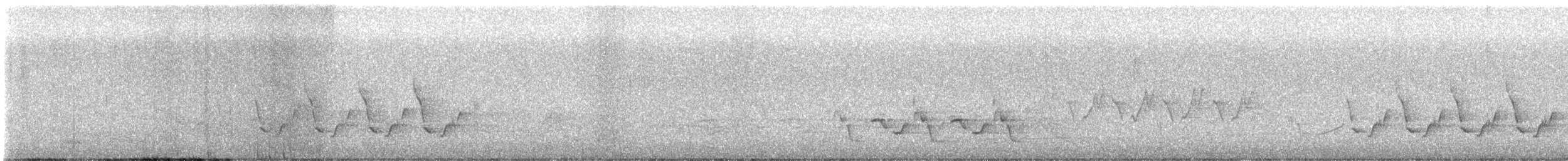 Поплітник каролінський - ML619032104