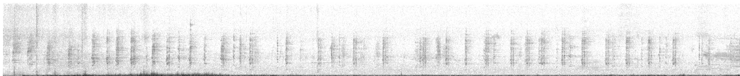 Helmperlhuhn (domestiziert) - ML619032906