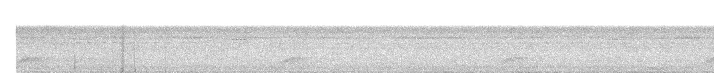 Pauraquenachtschwalbe - ML619035398