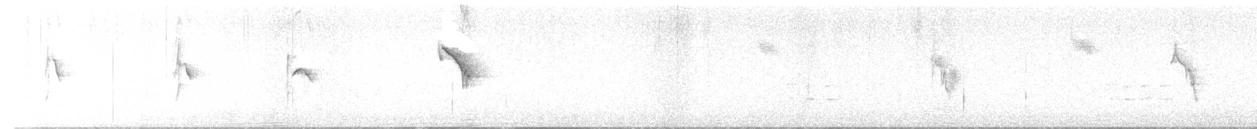 konipas luční (ssp. flava/beema) - ML619035626