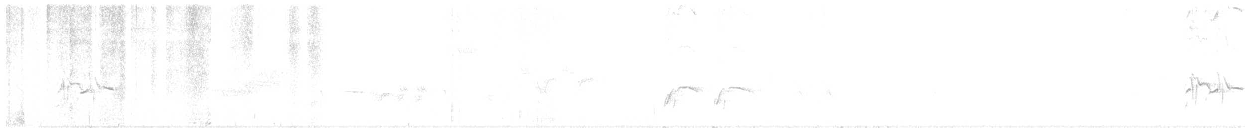 Pinu-gailupa - ML61903681