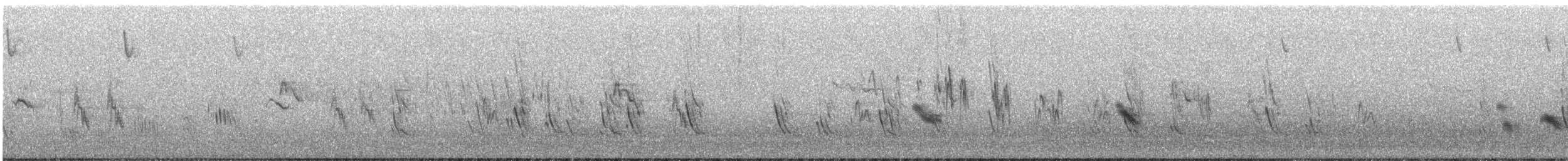 Büyük Mor Kırlangıç - ML619037454