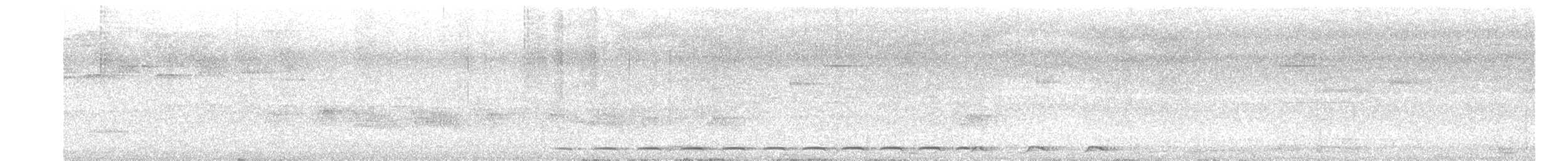 Streifenbrust-Ameisendrossel - ML619037508
