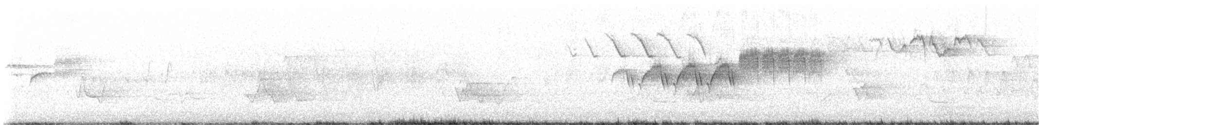 Cerulean Warbler - ML619037786