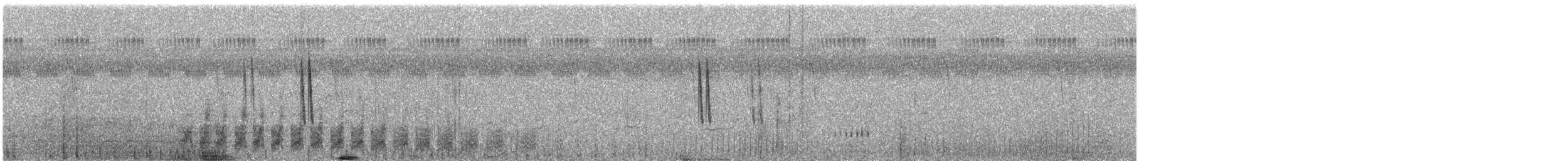 dvergrikse - ML619037999