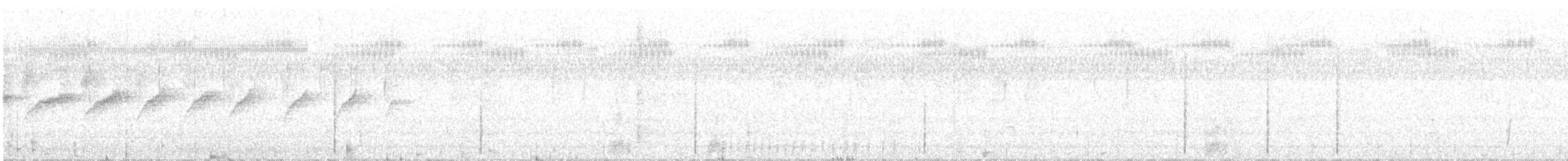 dvergrikse - ML619038000