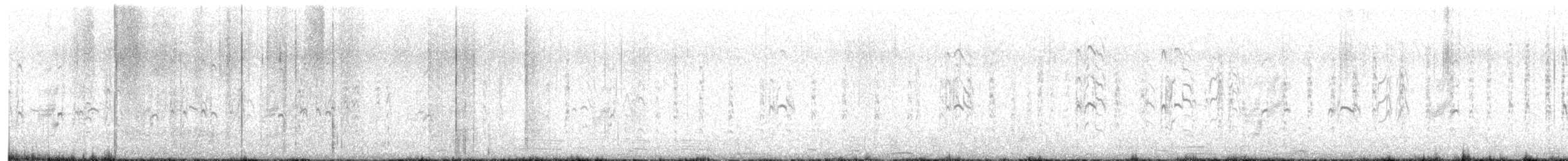 שחפית זעירה - ML619038215