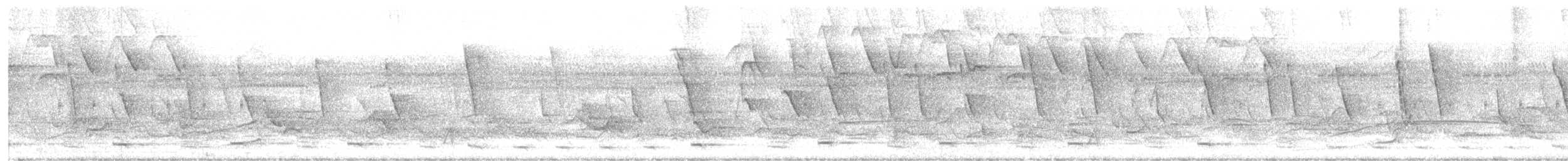 Blue-gray Tanager - ML619038556