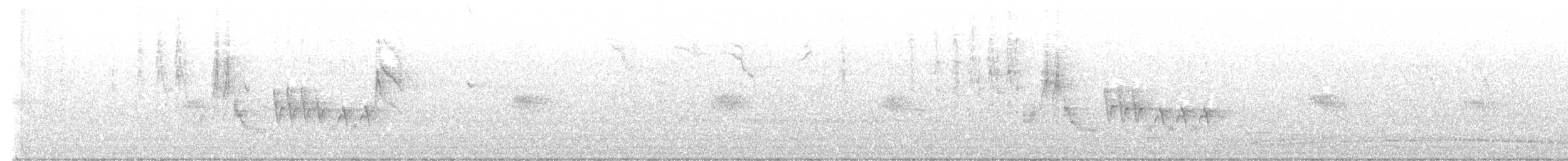 Каньонный крапивник - ML619040716