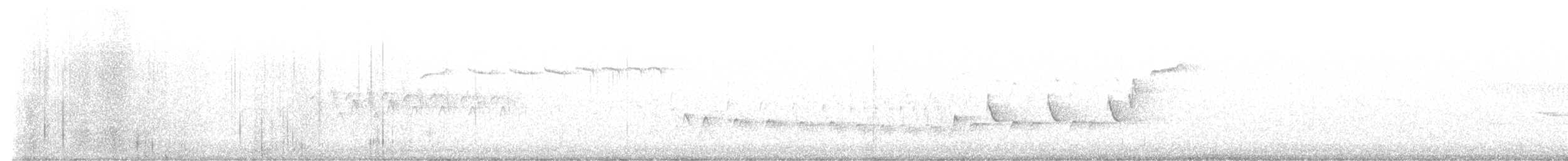 Kiefernsaftlecker - ML619041204