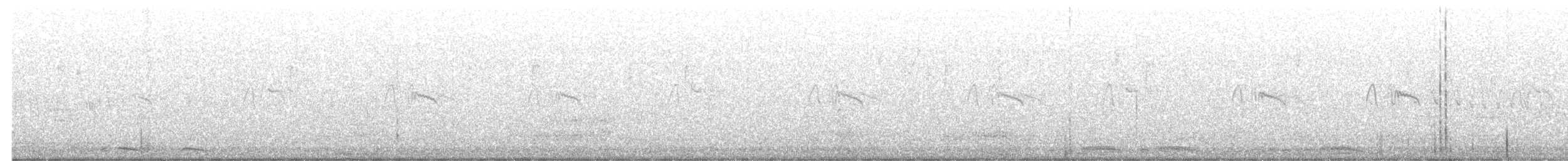 holoubek mexický - ML619041667