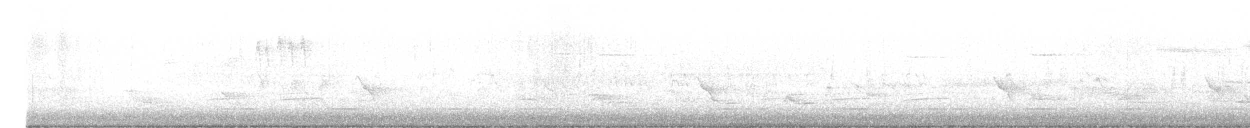 Evening Grosbeak (type 1) - ML619044471