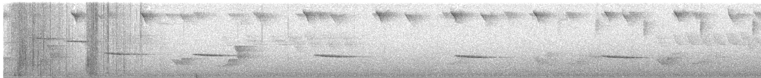 Troglodyte siffleur - ML619044637