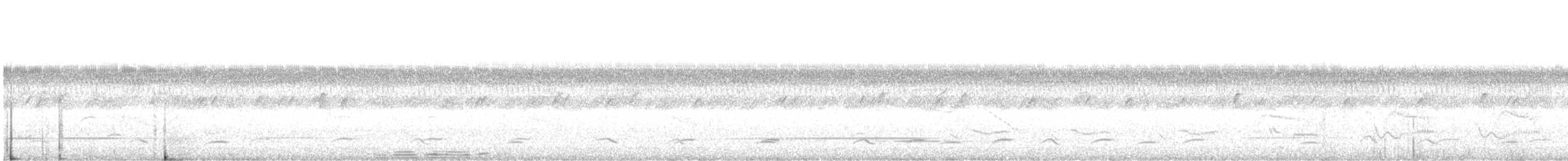 Серый скрытохвост - ML619045110