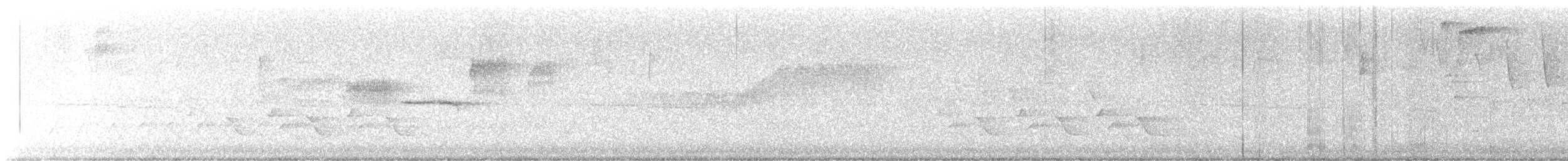 Paruline à gorge noire - ML619045488