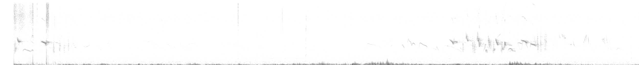 bělořit šedý (ssp. oenanthe/libanotica) - ML619047443