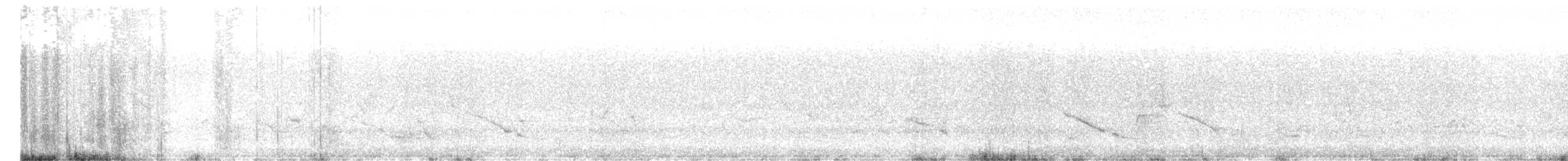 brunkinnskogtrost (swainsoni gr.) - ML619047614