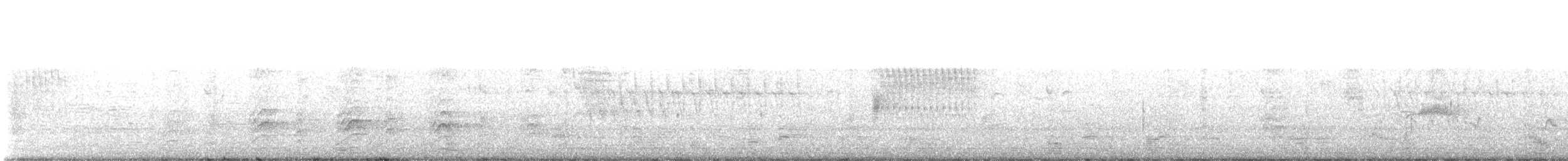 Western Wood-Pewee - ML619049217