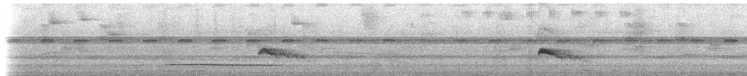 skogtyrann (flaviventris gr.) - ML619049934