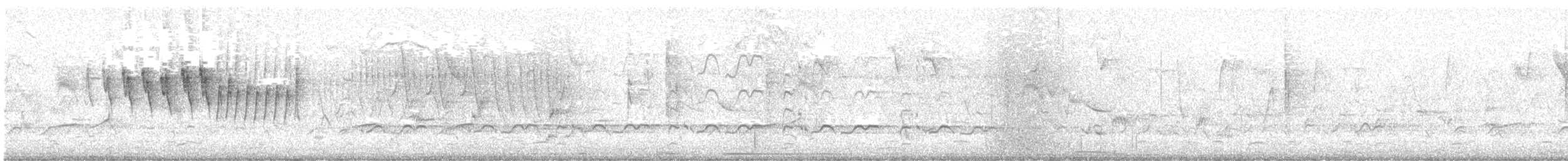 Mönchswaldsänger - ML619049958
