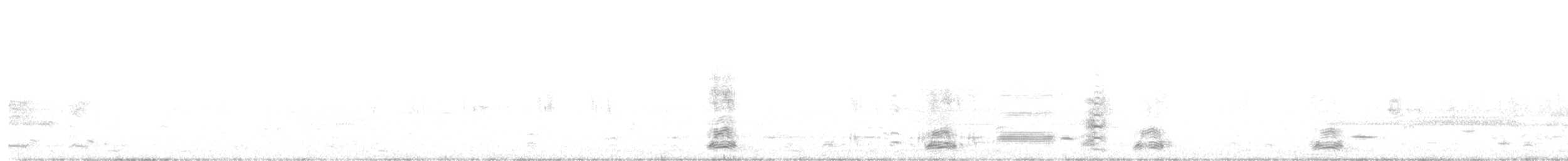 husa sněžní - ML619050278