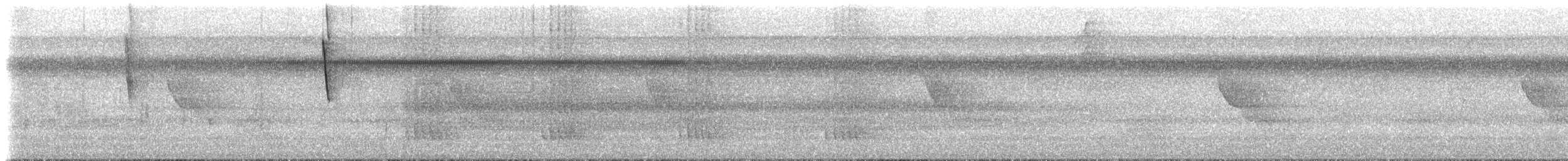 Colibri oreillard - ML619050826