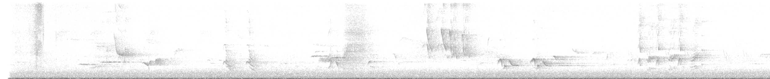 Тремблер прямодзьобий - ML619051075