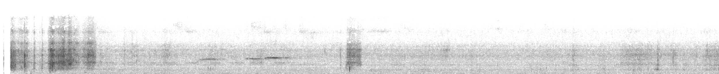 Grallaire ceinturée - ML619051149