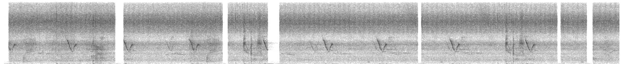 Vireo Chiví - ML619053692
