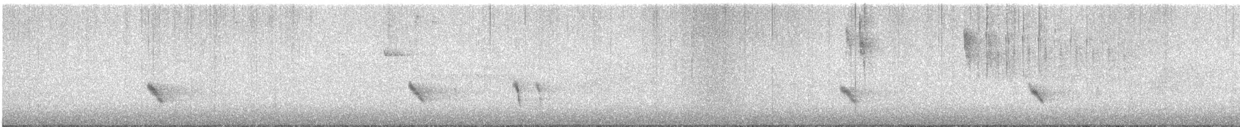 Büyük Mor Kırlangıç - ML619053716