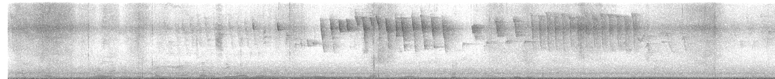 Tennessee Warbler - ML619054894