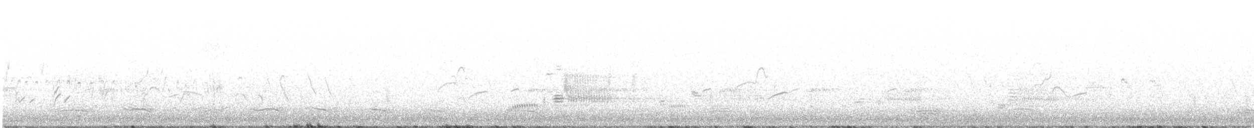 Corneille de rivage - ML619055284