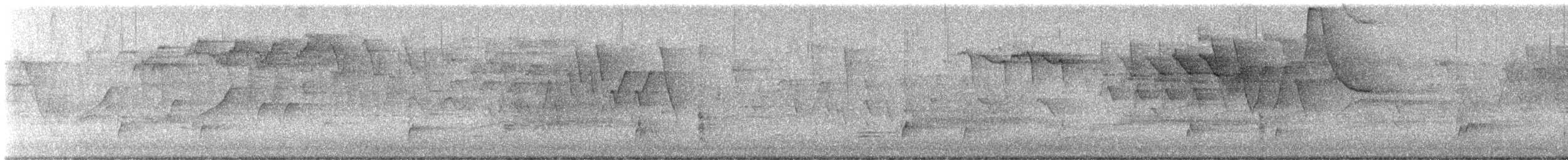 Дрізд-короткодзьоб Cвенсона - ML619057775