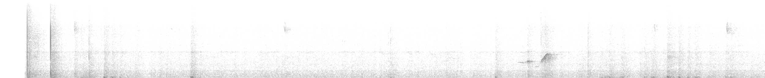 Troglodyte à poitrine grise - ML619058317
