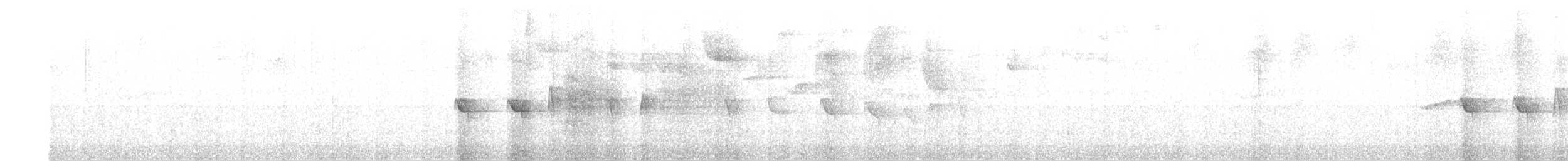 Strichelkopf-Ameisenfänger - ML619058369