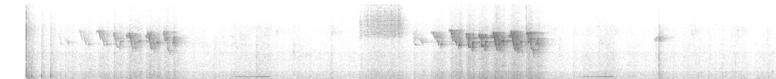 holub venezuelský - ML619058594