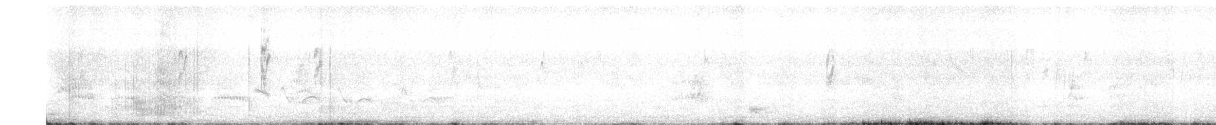 Bisbita Correndera - ML619059313