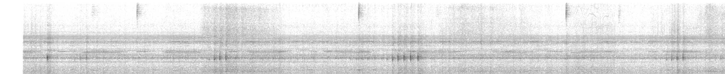 Breitspiegel-Nachtschwalbe - ML619059690