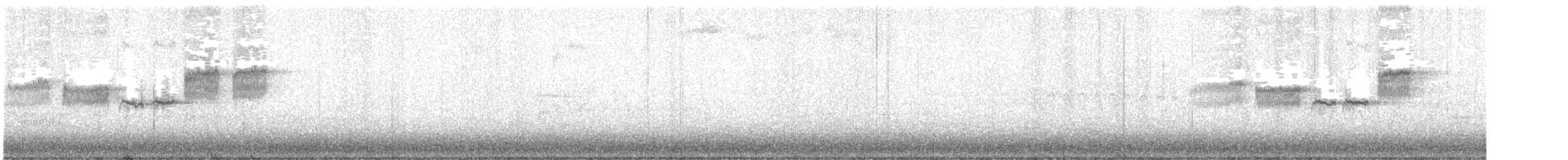 Paruline à gorge noire - ML619061261