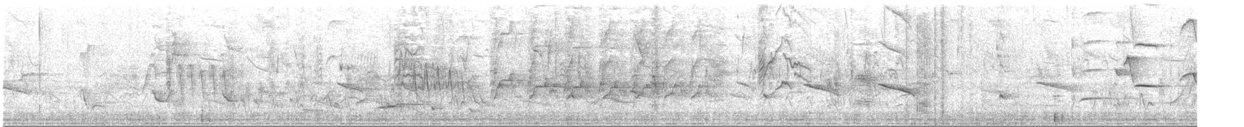 Degenschnabel-Baumsteiger - ML619062865