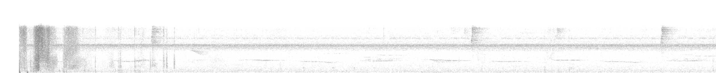 White-necked Thrush - ML619062977