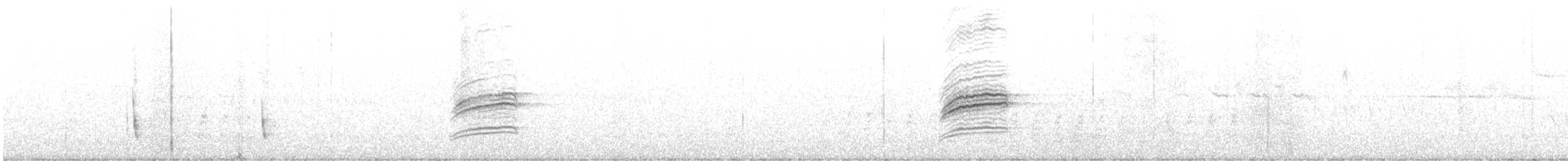 Münzevi Bülbül Ardıcı - ML619063276