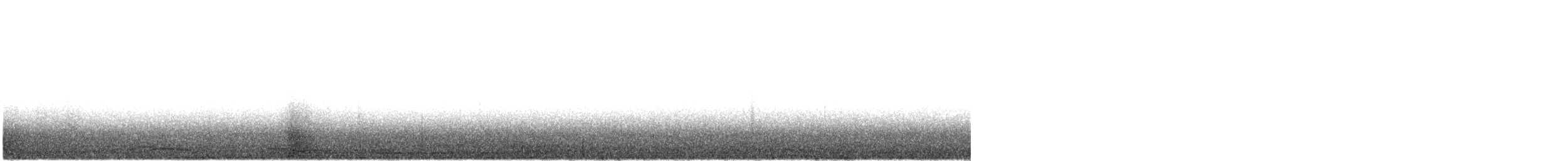 Лебідь чорнодзьобий (підвид columbianus) - ML619063282