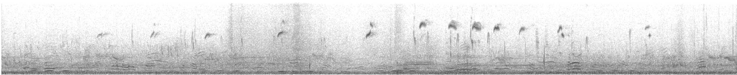 Серпокрилець малий [група affinis] - ML619063682