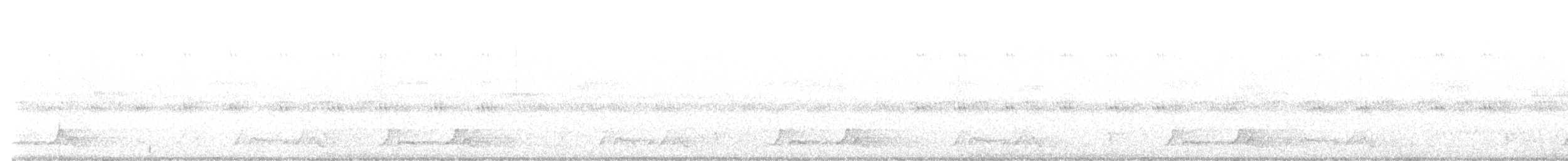Carolinanachtschwalbe - ML619065888