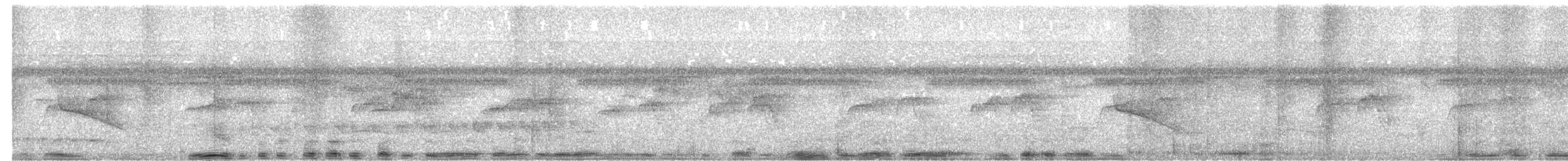 Weißflecken-Ameisenwächter - ML619066087