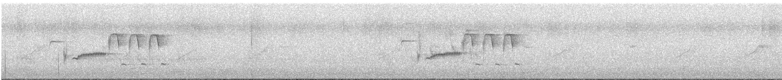 Troglodyte de Bewick - ML619066356