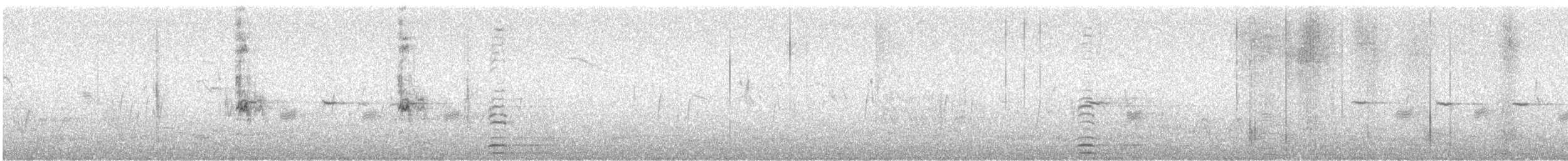 黃嘴天鵝 - ML619068659